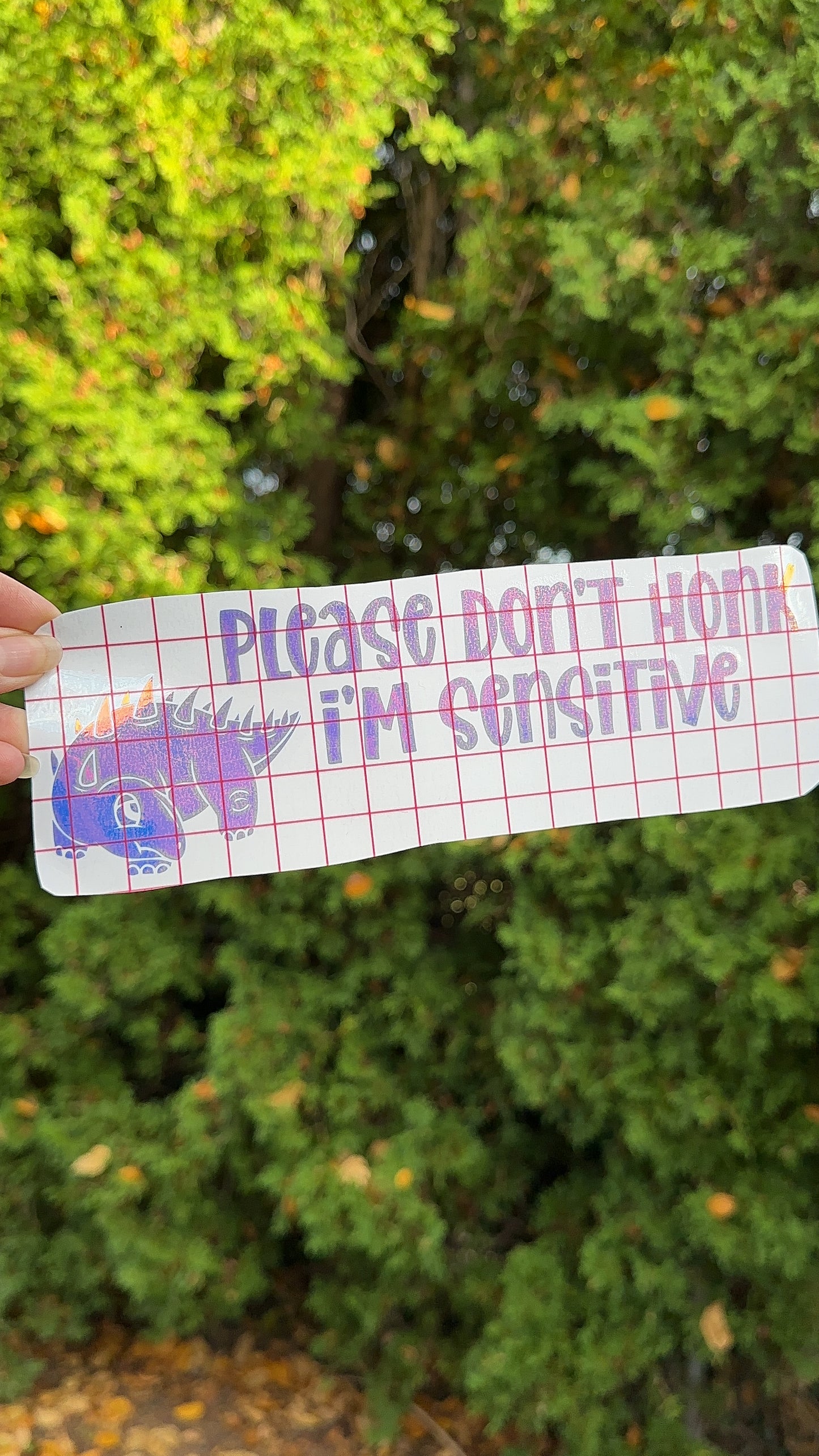 Please Don’t Honk At Me I’m Sensitive Car Decal, Bumper Sticker, Car Accessories