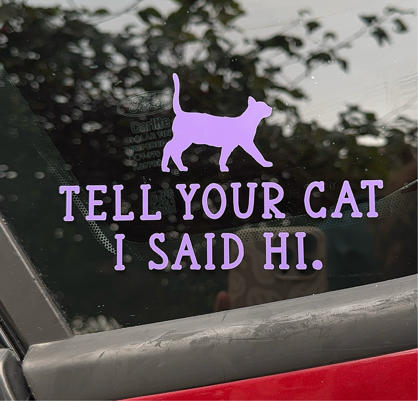 Tell Your Cat I Say Hi Car Decal, Bumper Stickers, Car Accessories