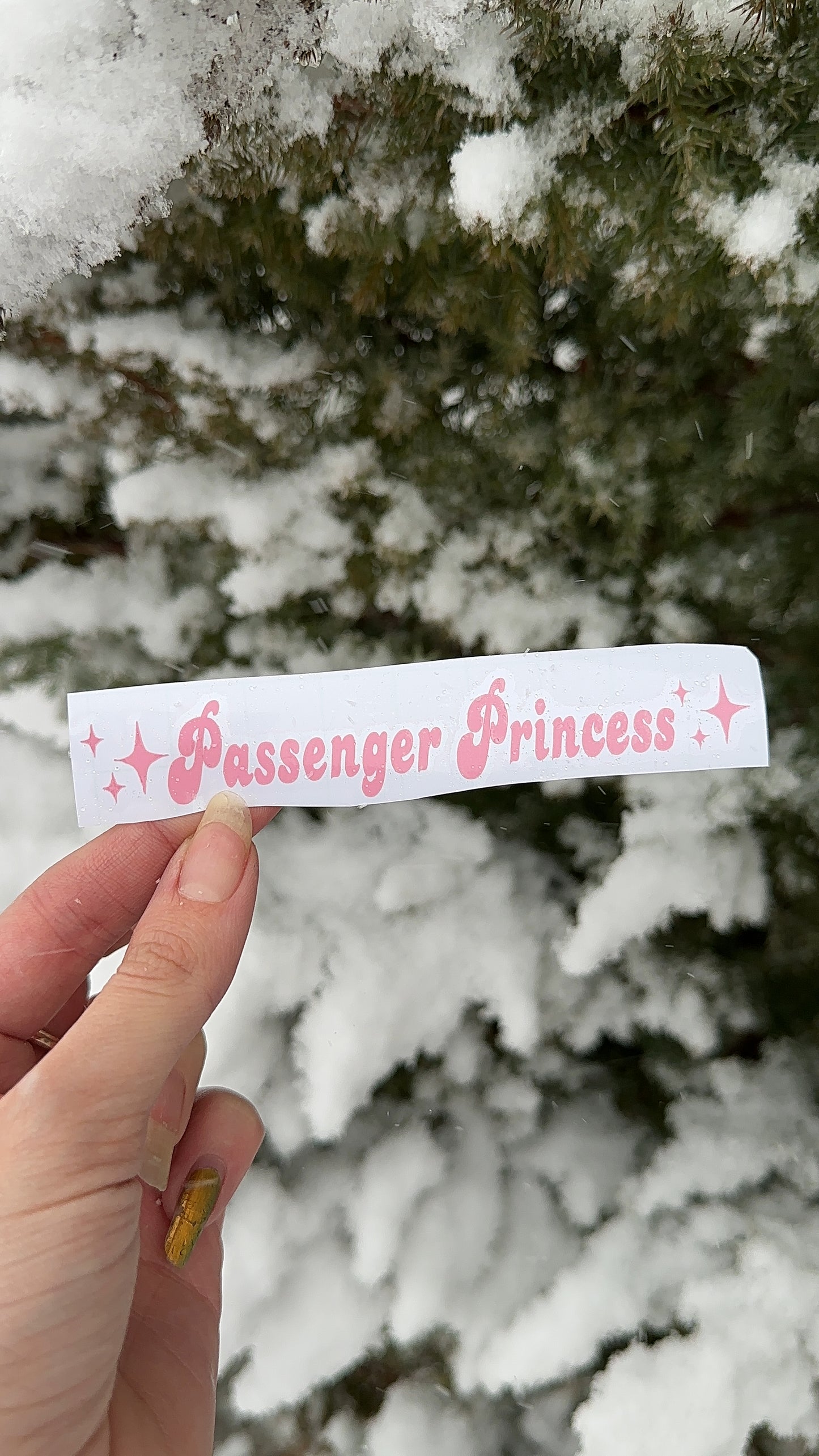 Passenger Princess Car Decal Pack of 3, Permanent Vinyl Mirror Decal Sticker, Mix and Match Pack, Gift Idea, Car Accessories