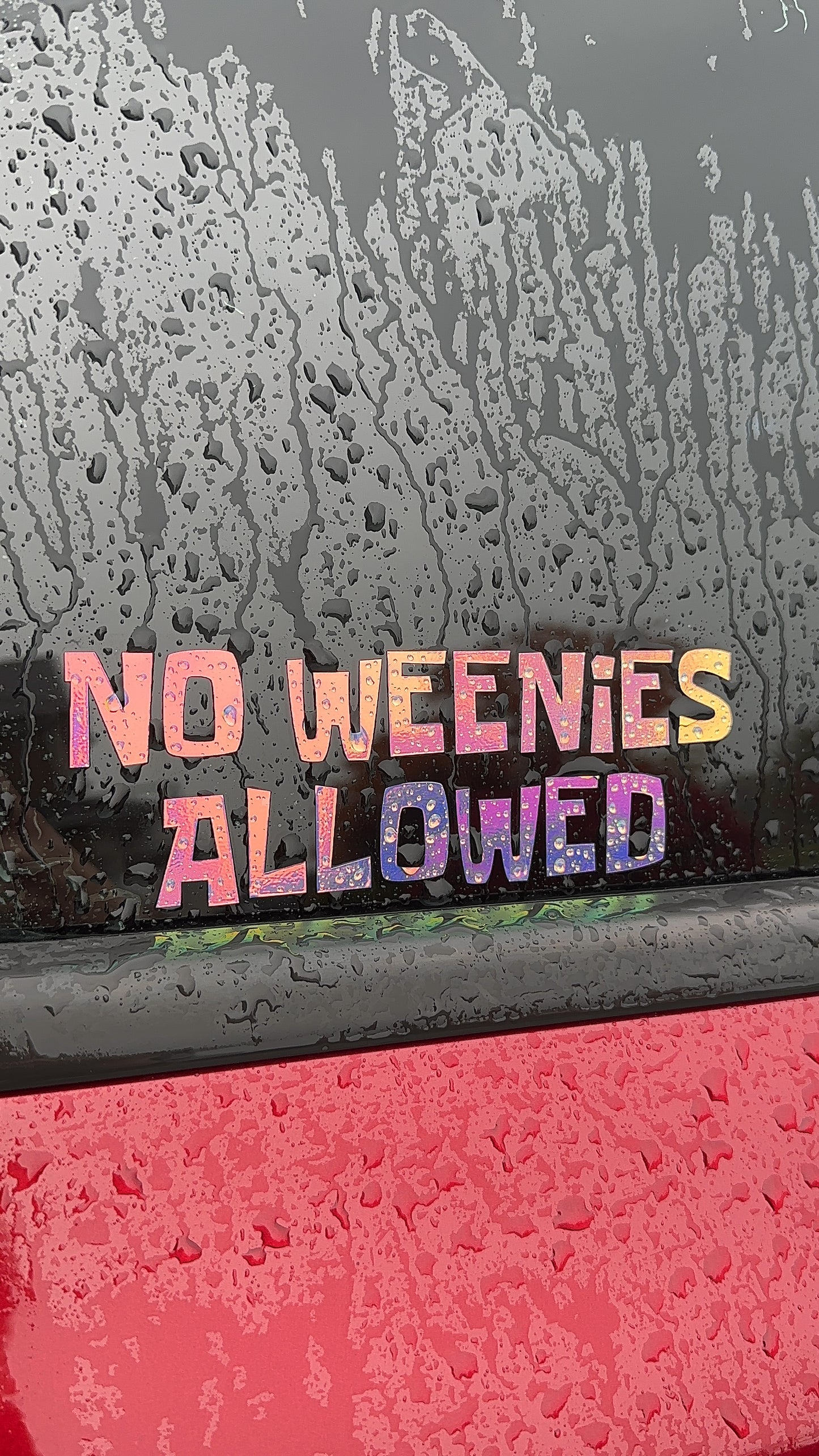 No Weenies Allowed Car Decal, Bumper Sticker, Funny Decal, Car Accessories