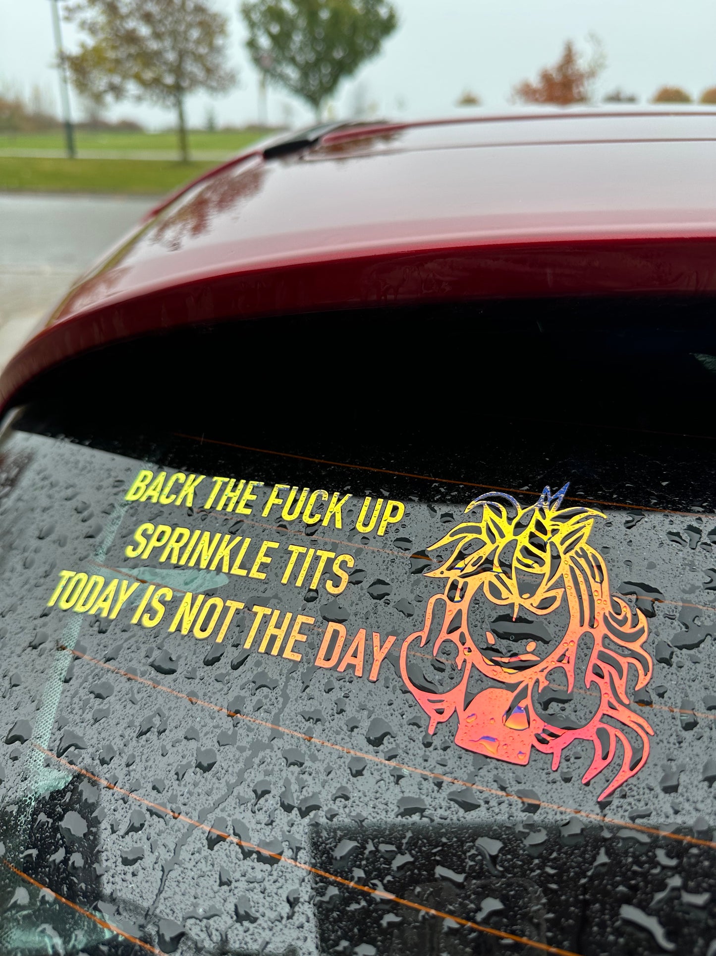 Back The F*ck Up Sprinkle Tits Today Is Not The Day Unicorn Car Decal, Bumper Sticker, Vinyl Permanent Decal Sticker