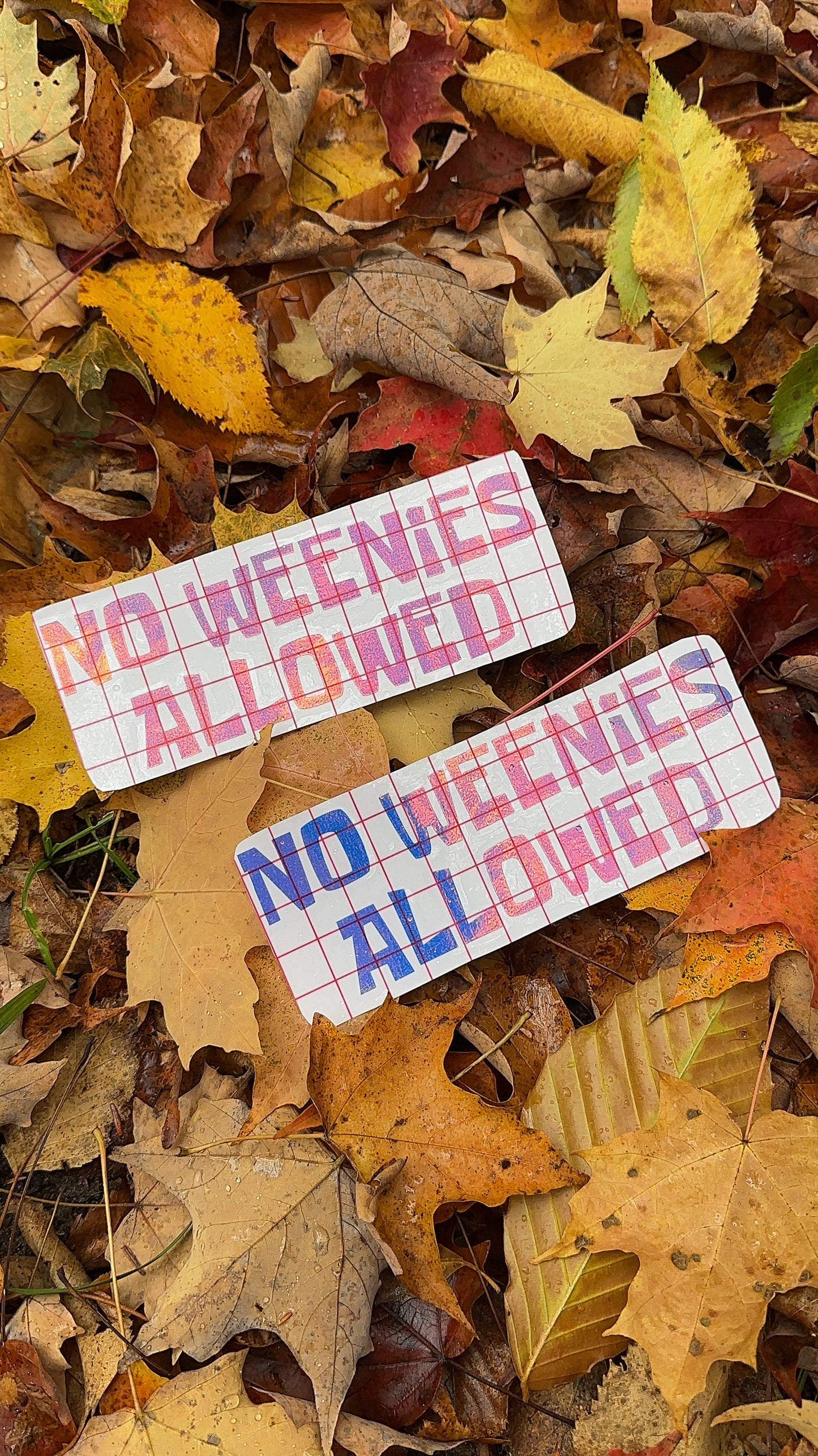 No Weenies Allowed Car Decal, Bumper Sticker, Funny Decal, Car Accessories