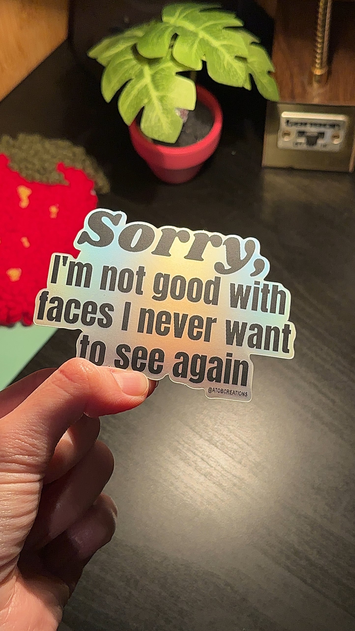 Sorry, I’m Not Good With Faces I Never Want To See Again Sticker, Funny Unhinged Water Bottle Sticker