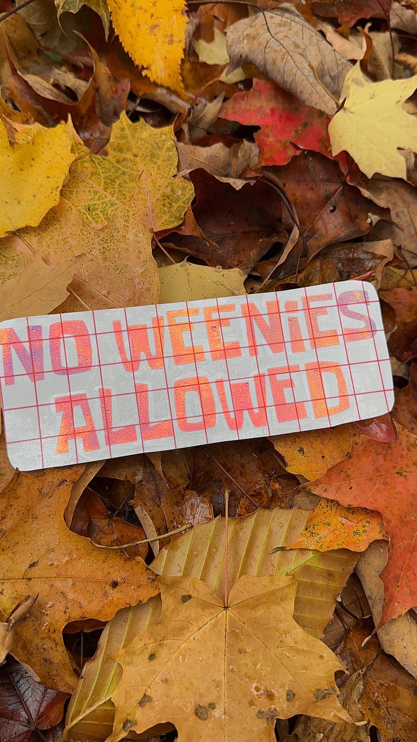 No Weenies Allowed Car Decal, Bumper Sticker, Funny Decal, Car Accessories