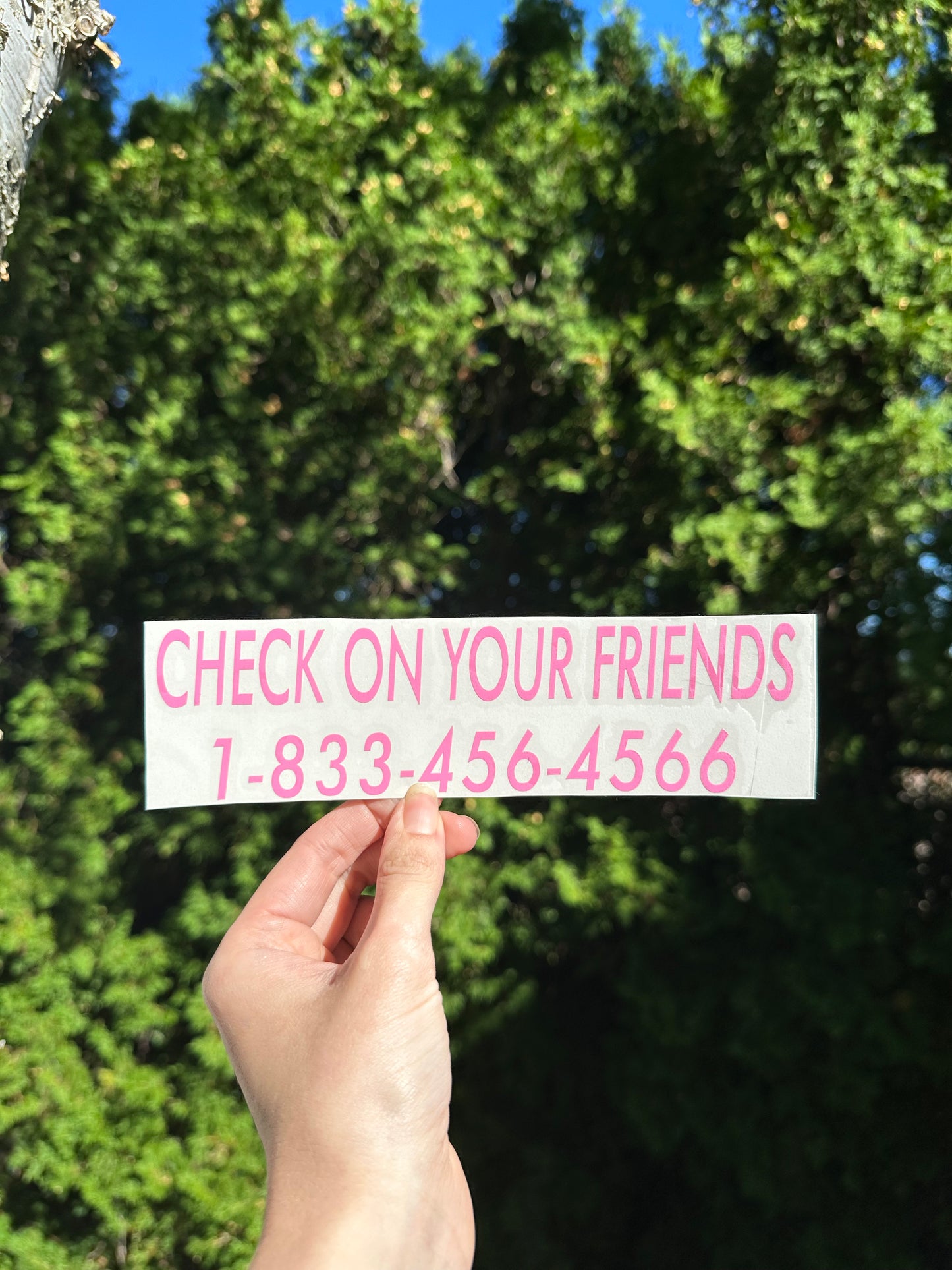 Check On Your Friends, Decal, Vinyl Window Sticker, Holographic Bumper Decal