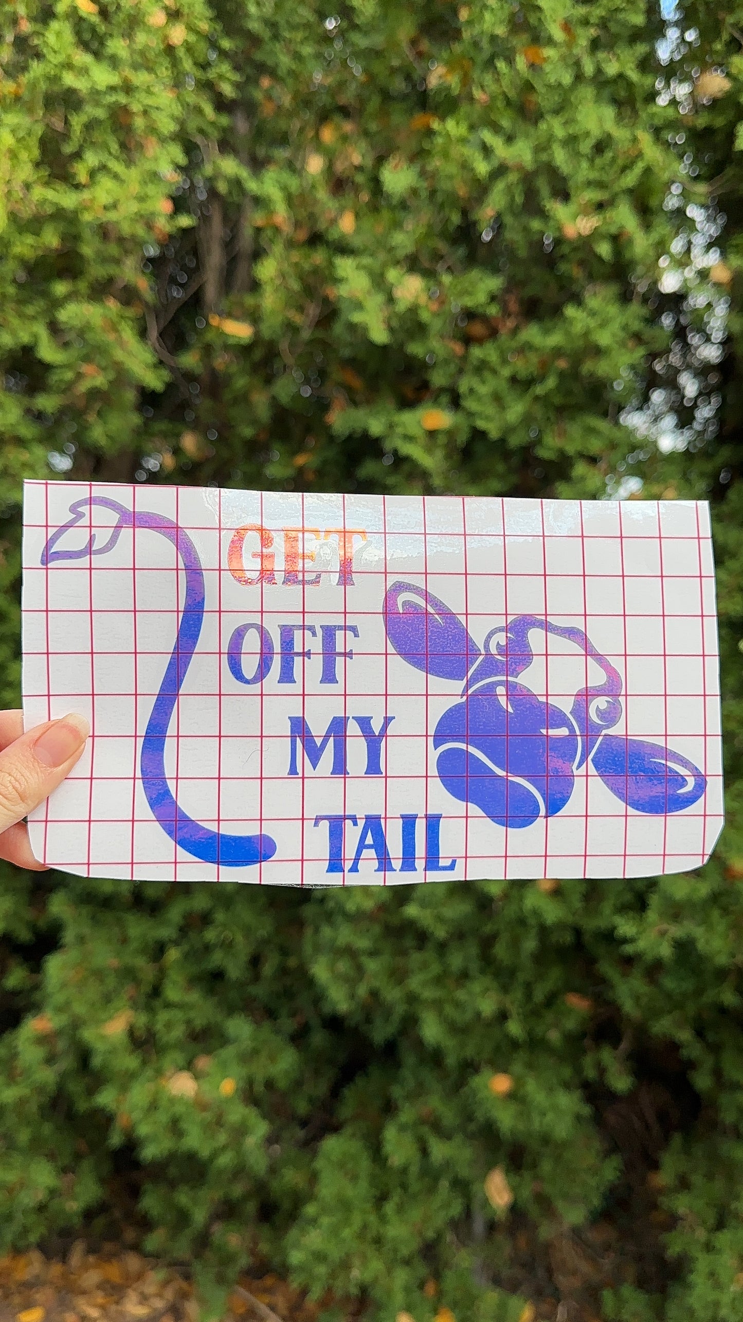 Get Off My Tail Cow Car Decal, Bumper Sticker, Car Accessories