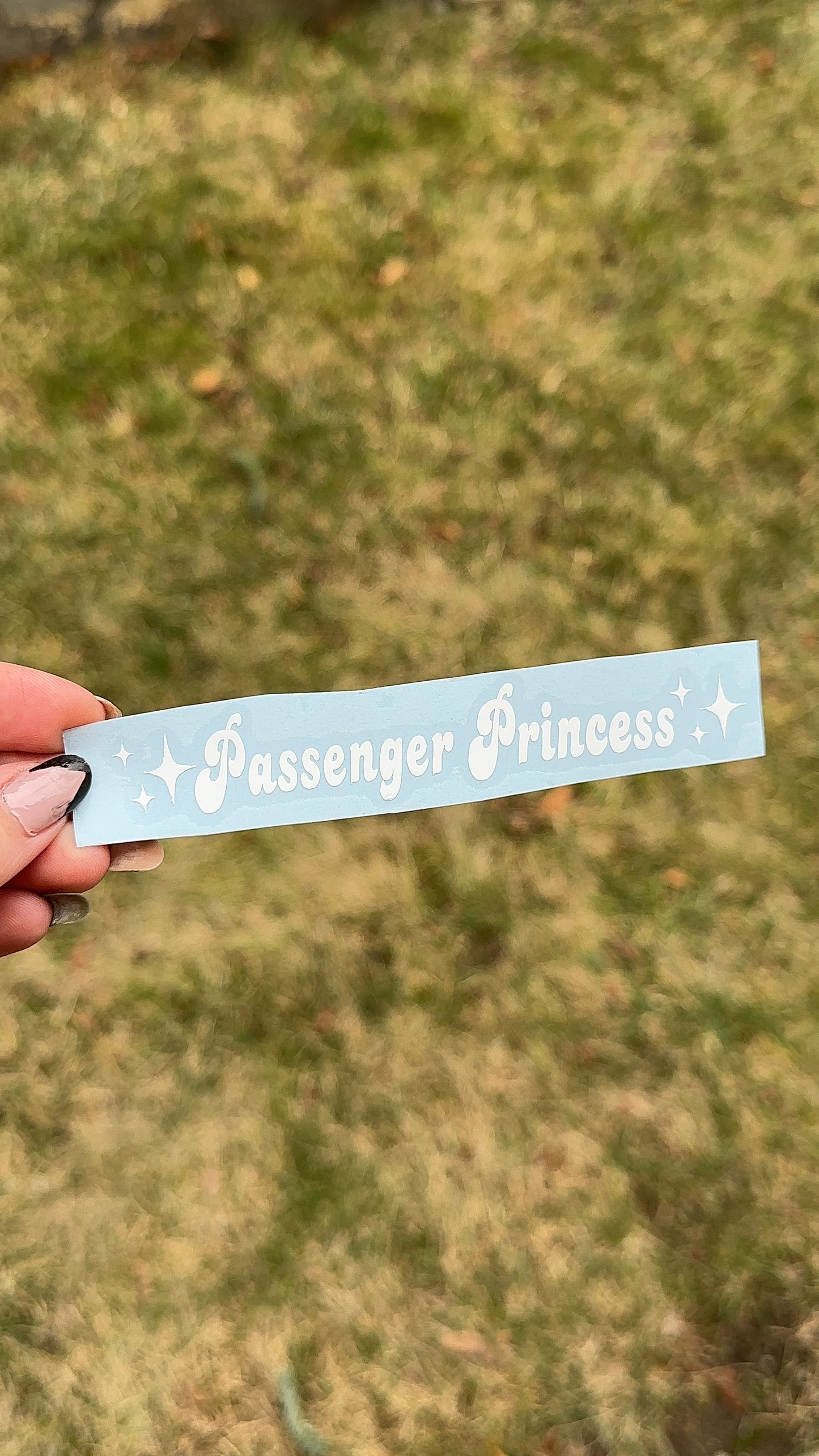 Passenger Princess Car Decal Pack of 3, Permanent Vinyl Mirror Decal Sticker, Mix and Match Pack, Gift Idea, Car Accessories