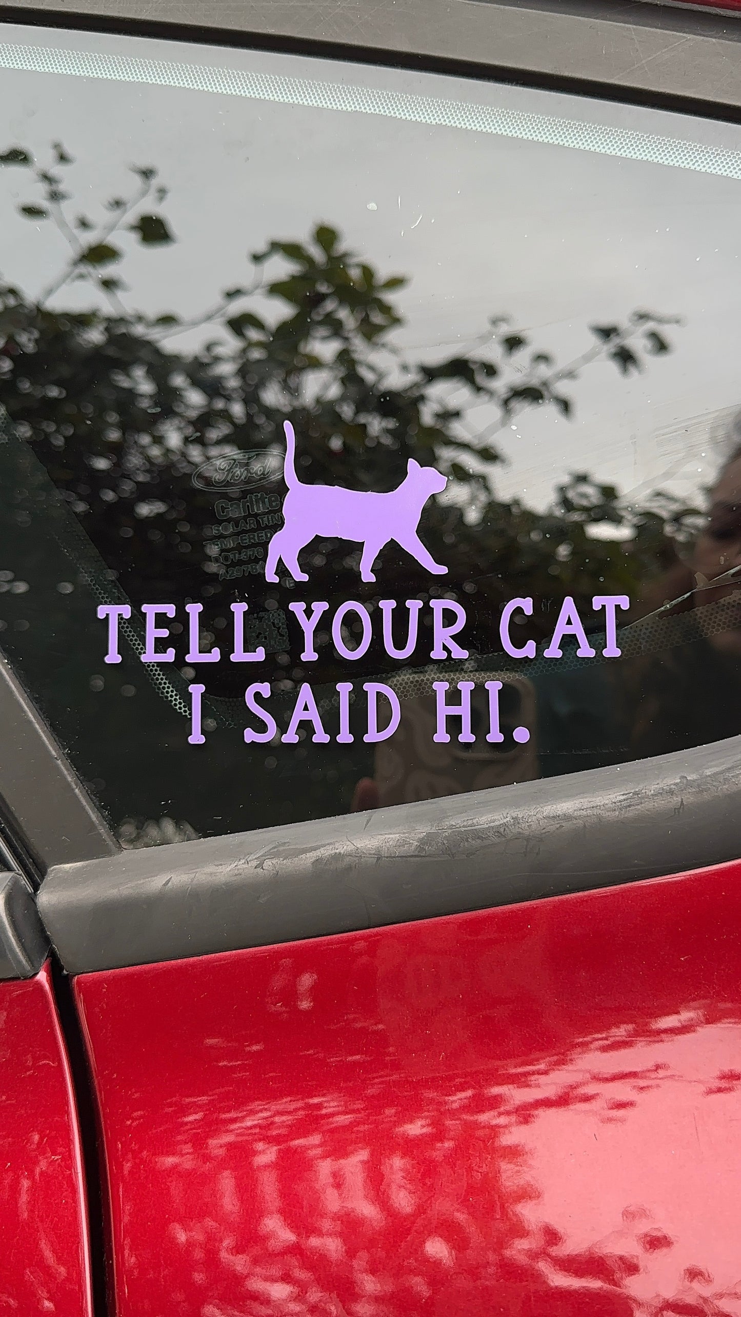 Tell Your Cat I Say Hi Car Decal, Bumper Stickers, Car Accessories