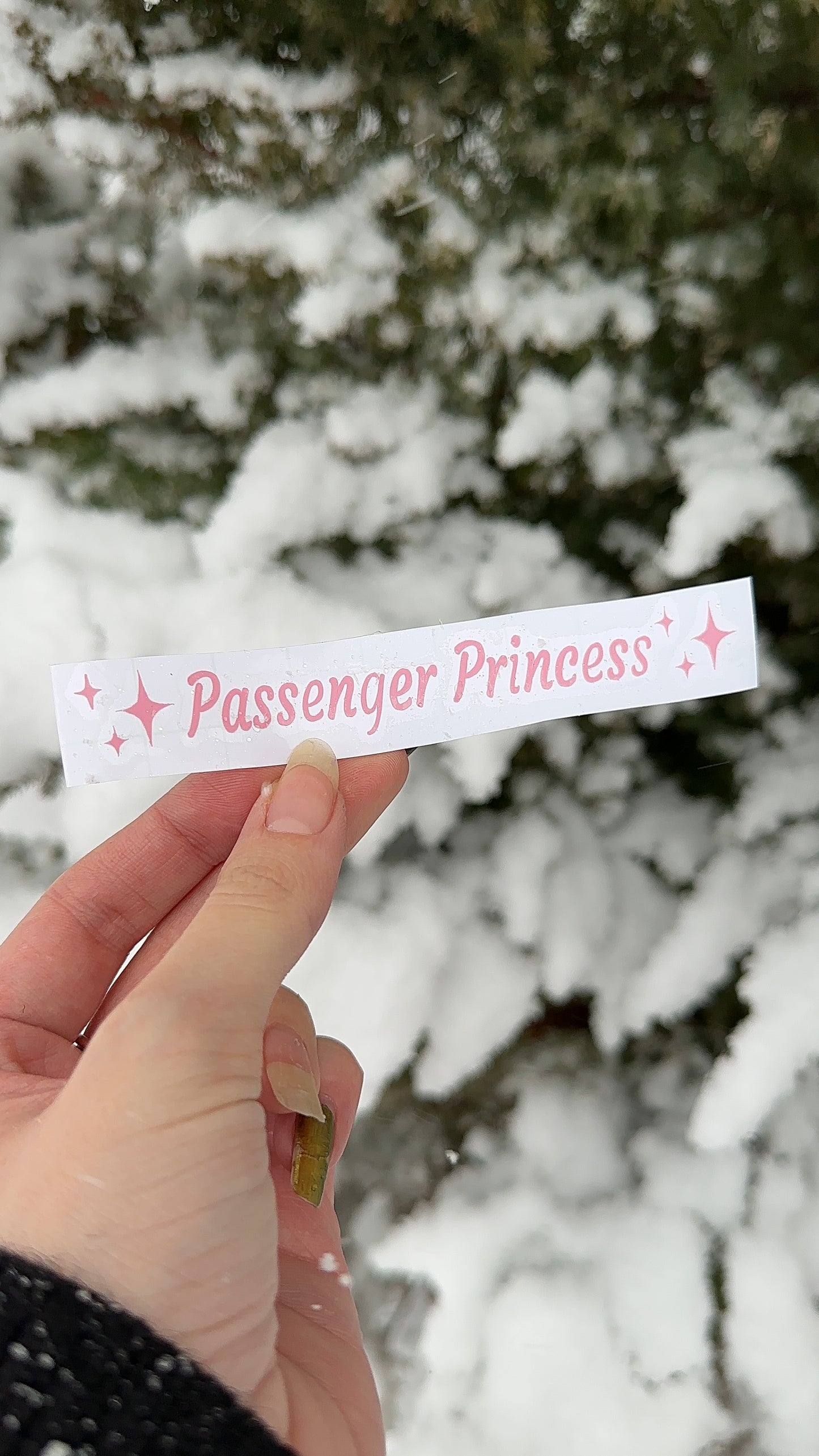 Passenger Princess Car Decal Sticker