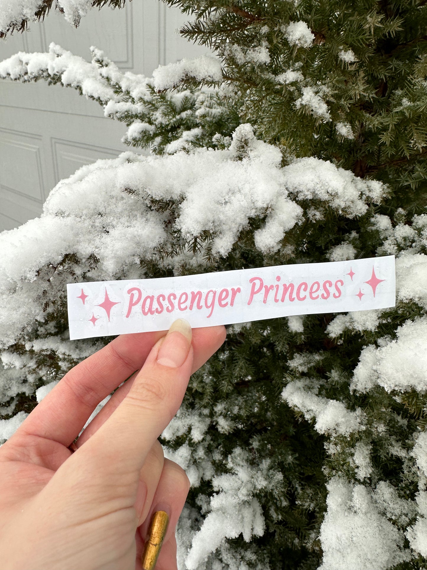 Passenger Princess Car Decal Sticker