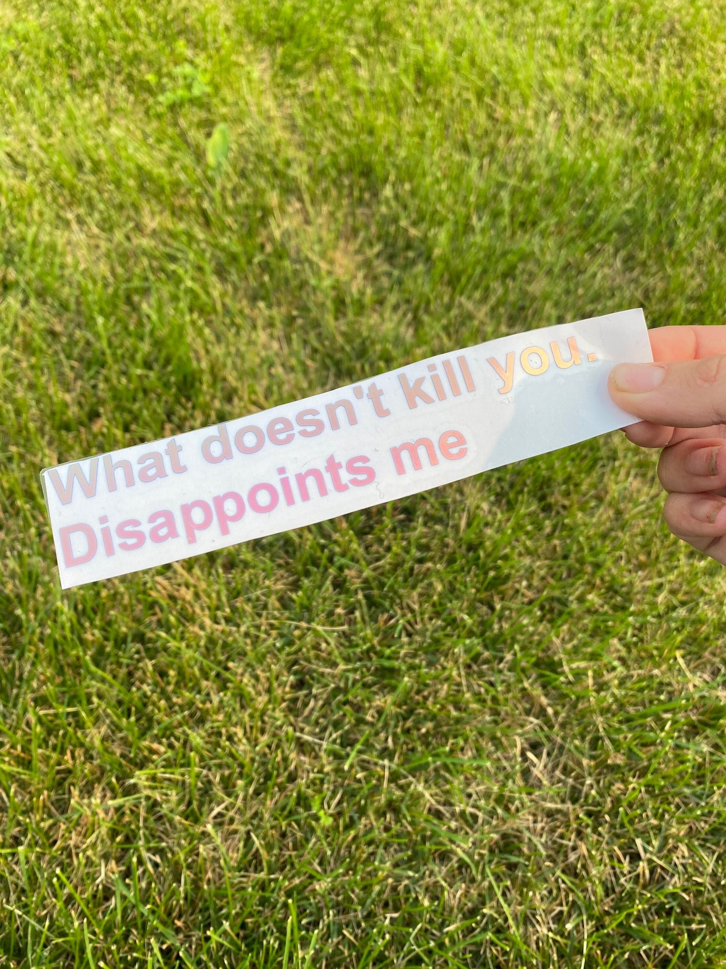 What Doesn't Kill You Disappoints Me, Holographic Car Decal, Vinyl Window Sticker