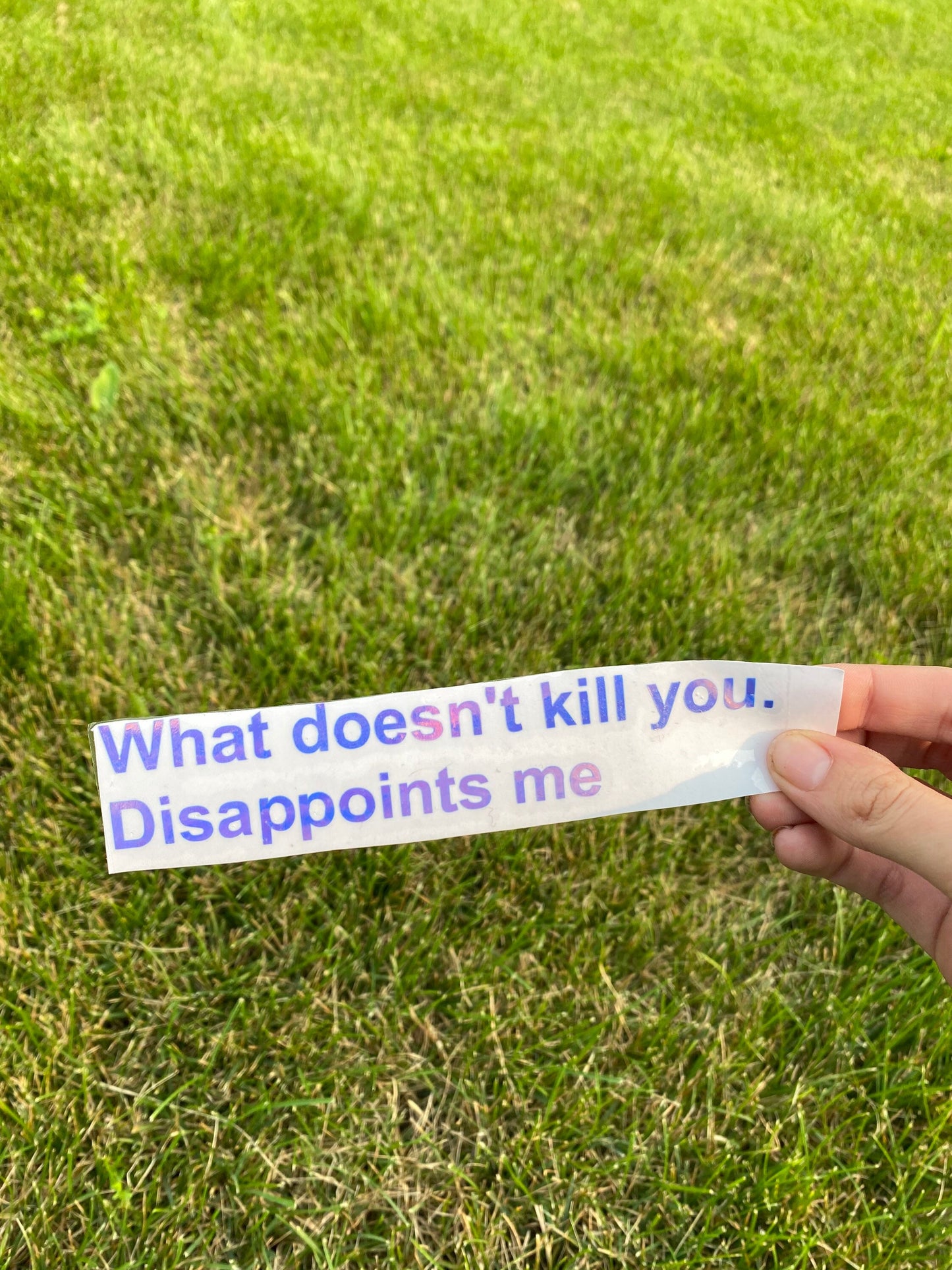 What Doesn't Kill You Disappoints Me, Holographic Car Decal, Vinyl Window Sticker