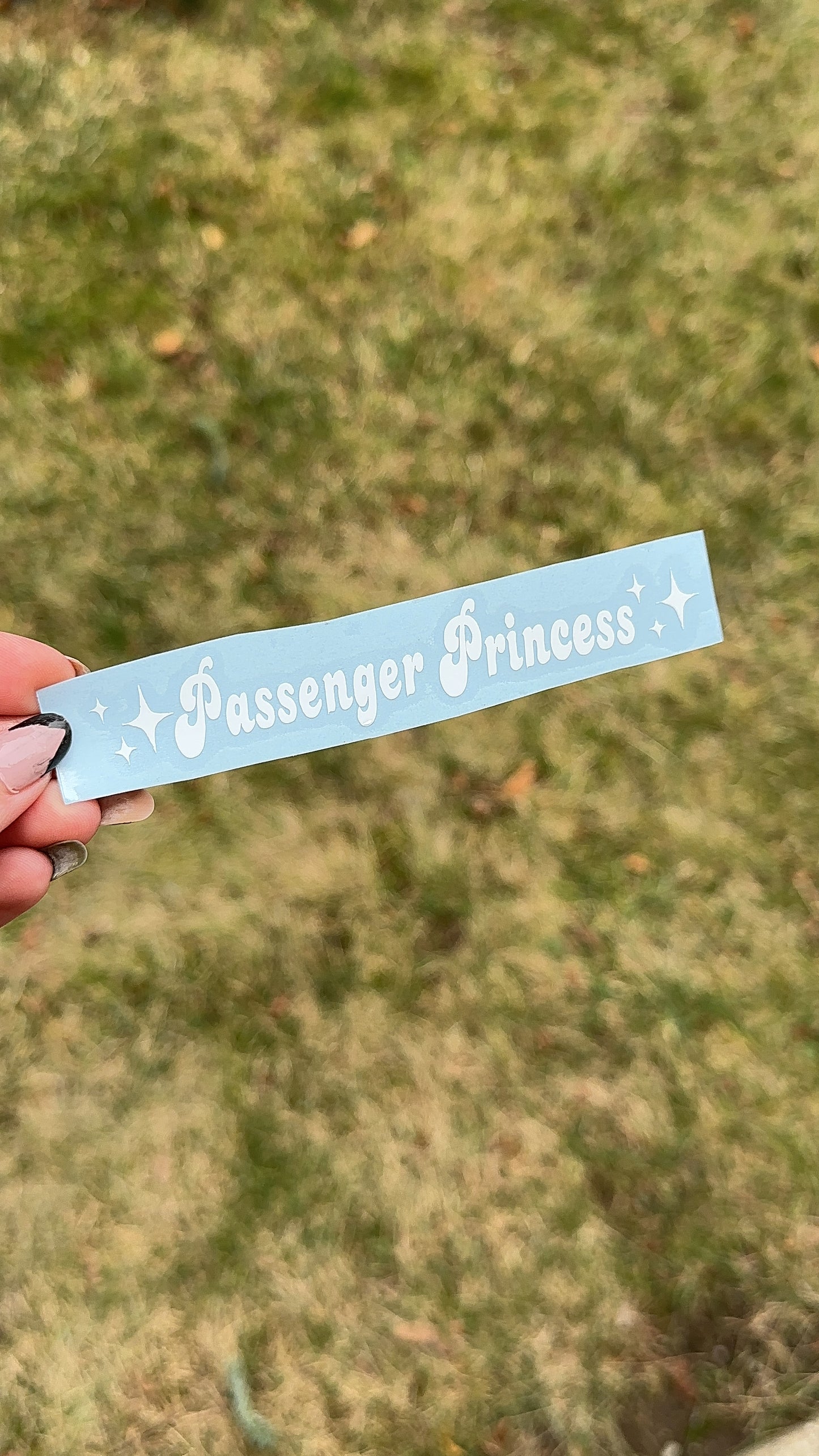 Passenger Princess Car Decal Groovy